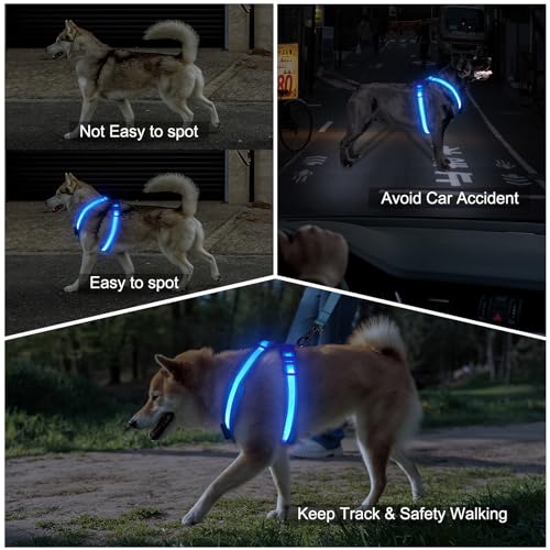 Light Up Dog Harness, LED Dog Harness Rechargeable, Glow in the Dark, LED Dog Vest Reflective, Light Up Harness for Dogs, Dog Lights for Night Walking, Blue, XL - color: Blue