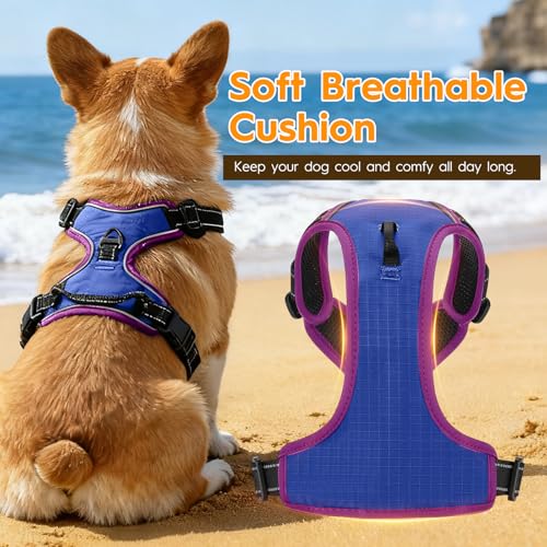 No Pull Dog Harness, No Chock Reflective Adjustable Soft Padded Pet Vest with Easy Control Handle, Easy Wearing with Stylish, Reinforced Knot, 2 Buckles - color: Blue/Purple, size: X-Small