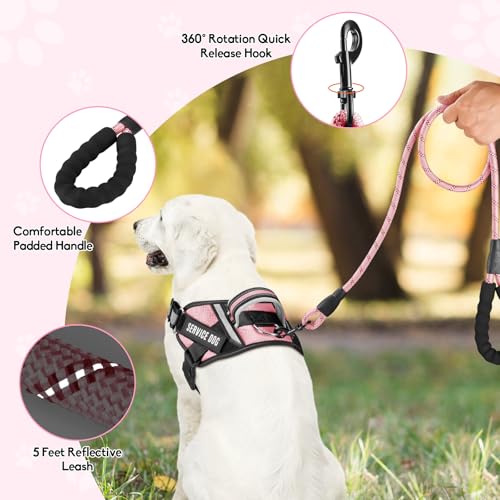 Service Dog Vest Harness and Leash Set, Animire in Training Dog Harness with 10 Dog Patches, Reflective Dog Leash with Soft Padded Handle for Small, Medium, Large, and Extra-Large Dogs - color: Pink, size: XXS