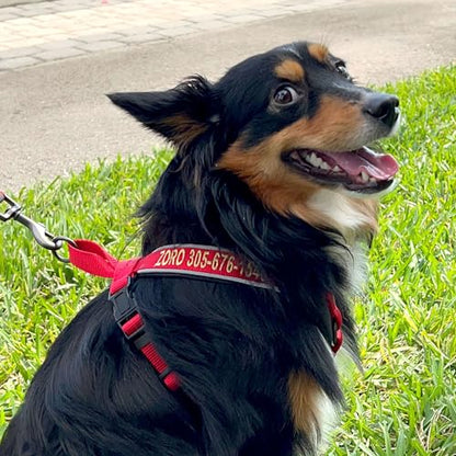 Pawtitas Reflective Padded Dog Harness for Small Dogs – Adjustable Puppy Step-in Vest | Fits Chest 18–22 in | No Pull Personalized Training Harness | S | Green Camouflage - color: Green Camouflage, size: Personalized Small (Pack of 1)