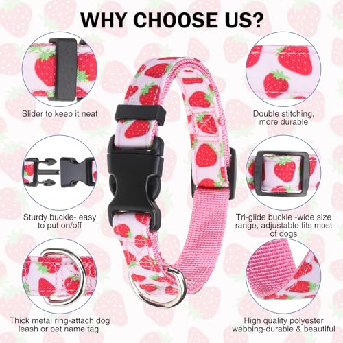 Dog Collar and Leash Set, Adjustable Dog Collars for Small Medium Dogs Boys Girls, Soft Durable Nylon Collar and Matching Leash, Cute Puppy Collars,Strawberry - color: Pink strawberry, size: Small(Neck:11.8"-16.2")