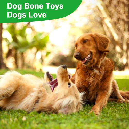 Dog Chew Toys for Aggressive Chewers - Indestructible Nylon Puppy Bone Tough Teething & Calming for Large Medium Breeds(10lbs-70lbs) Birthday Gift Christmas (1 Pack, Beef)