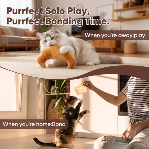 CiyvoLyeen Bread Catnip Toys, Cat Toy for Indoor Interactive Toys, Kitten Chew Bite Kick Toy Baguette Croissant Pretzel Toast Bun Cinnamon Roll Plush Catmint Pet Birthday Presents 6 Pack - color: Bread - 6Pcs