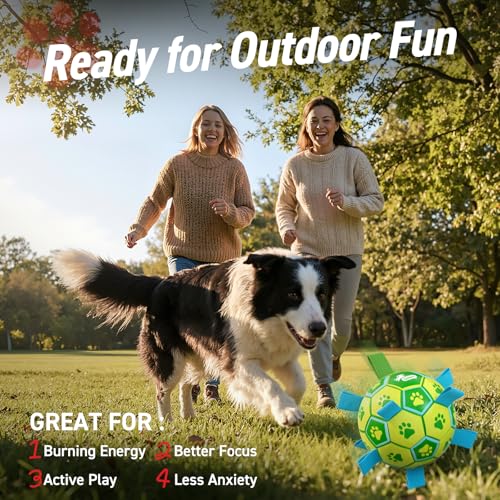 QDAN Dog Toys Soccer Ball, Dog Tug Toy, Water Toy, Durable Balls for Small Medium Dogs-Green Yellow(6 inch) - color: Yellow Green, size: 6 Inch