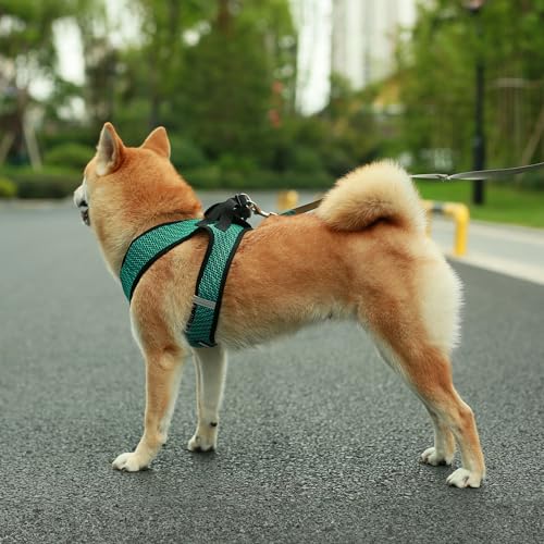 Best Pet Supplies Voyager Step-in Air All Weather Mesh Harness and Reflective Dog 5ft Leash Combo with Neoprene Handle, for Small, Medium and Large Breed Puppies - Set (Turquoise 2-Tone), X-Small