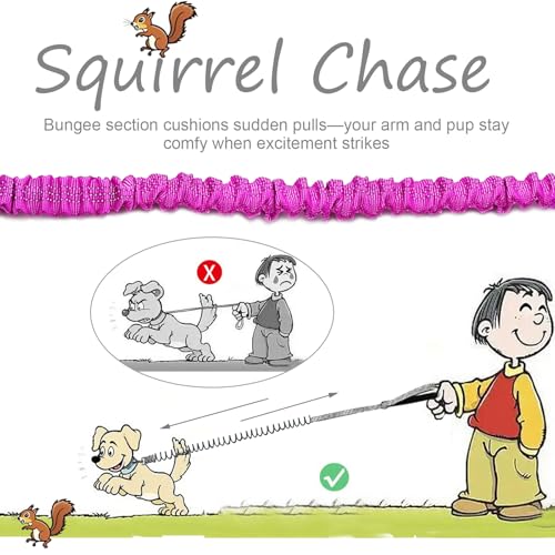 Bungee Dog Leash- 5FT Shock Absorbing & Reflective Nylon Leash | Anti-Pull Training for Small/Medium Dogs | 2cm Wide, 6 Colors (Purple) - color: Purple