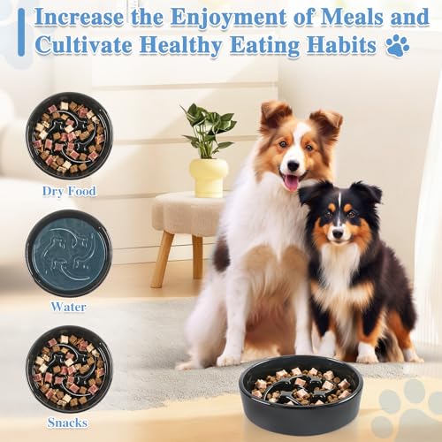 Ceramic Slow Feeder Dog Bowls, 1 Cups Dog Food Dish for Small and Medium Breed, Puzzle Dog Food Bowl for Fast Eater, 15OZ, 6.3 inch(Black) - color: Black-M