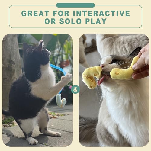 Interactive Cat Toys Set, Silvervine Chew Sticks and Cat Spring Toy, Indoor Catnip Toys for Exercise and Dental Care, for Adult Cats and Kittens (10 Packs) - color: 10 Packs