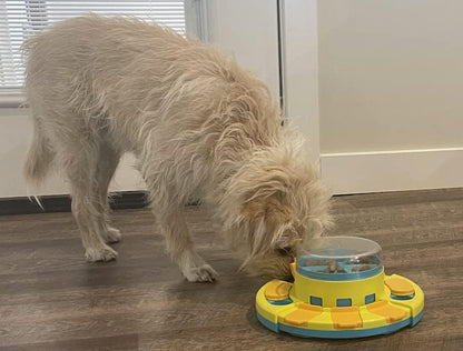 Piggy Poo and Crew Treat Popper Slow Feeder Interactive Food Dispenser Puzzle Game for Dogs Puppies Rabbits Pigs Small Animals - color: Blue and Yellow