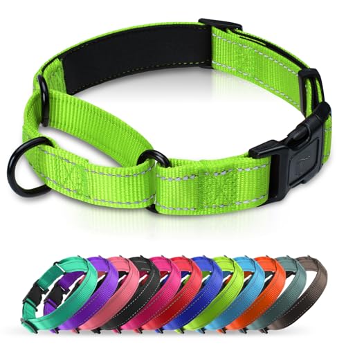 Martingale Collar for Dogs with Quick Release Buckle, Reflective Soft Padded & Escape Proof, Adjustable Nylon Dog Collars for Training & Daily Walking (Green,XS) - color: Green, size: XS:width 5/8"neck 10.5-12"