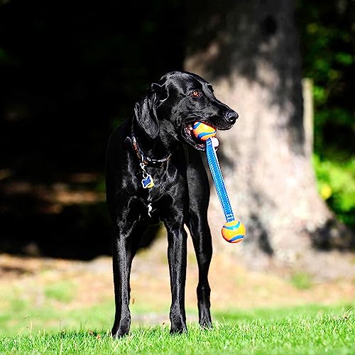 Chuckit! Ultra Duo Tug Dog Toy, Small Indoor and Outdoor Dog Ball for Dogs 0-20 Pounds - size: Small, style: Ultra Duo Tug