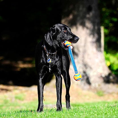 Chuckit! Ultra Duo Tug Dog Toy, Small Indoor and Outdoor Dog Ball for Dogs 0-20 Pounds - size: Small, style: Ultra Duo Tug
