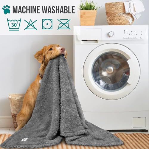 PETAMI Fluffy Fleece CAT and Dog Throw Blanket, Gray, X-Large - color: Gray, size: X-Large (60x80)