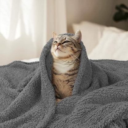 Luciphia Premium Fleece Pet Blanket for Small Medium Dogs Puppy Soft Sherpa Calming Cat Throw Blankets(Grey,57x40 inches) - color: Grey, size: 57x40 inches
