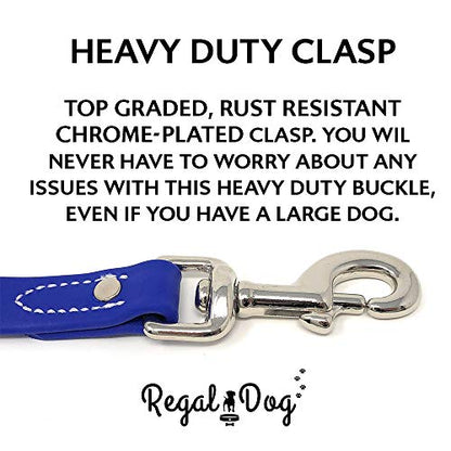 Regal Dog Products Waterproof Leash – 5 ft. Blue Dog Leash with Easy to Use Collar Hook, Lightweight, and Proof Training Pet Lead with Vinyl-Coated Webbing for Small, Medium, Large, or XL Dogs - color: Blue