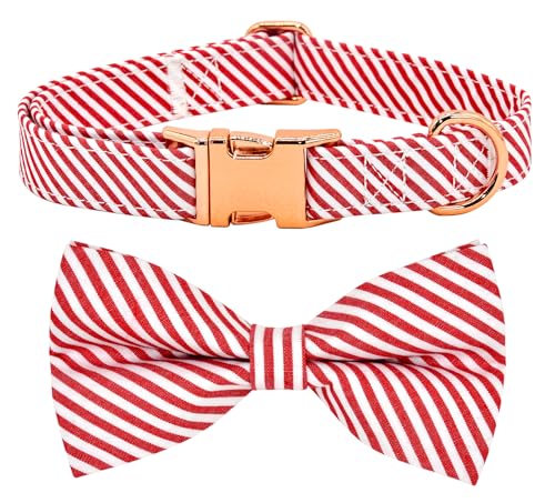 Classical Red Stripe Dog Bow Tie Dog Collar Accessory, Detachable Bowtie, Adjustable Collar for Small Medium Large Dogs - color: Red Stripe, size: M (12 --20")