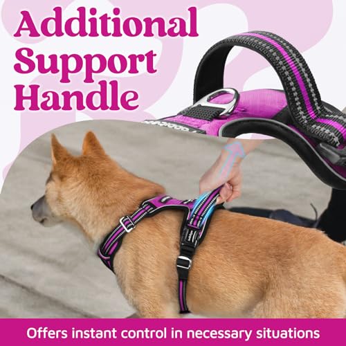 rabbitgoo Dog Harness Small Sized, No Pull Dog Vest with 3 Buckles, Adjustable Soft Padded Pet Harness with Easy Control Handle and Reflective Strips, Purple, S - color: Purple, size: Small