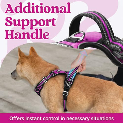 rabbitgoo Dog Harness Small Sized, No Pull Dog Vest with 3 Buckles, Adjustable Soft Padded Pet Harness with Easy Control Handle and Reflective Strips, Purple, S - color: Purple, size: Small
