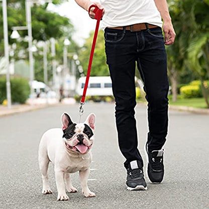 Long Dog Puppy Obedience Recall Training Agility Lead, Leash - RED, 30' Foot - by, Downtown Pet Supply - color: Red, size: 30 Foot
