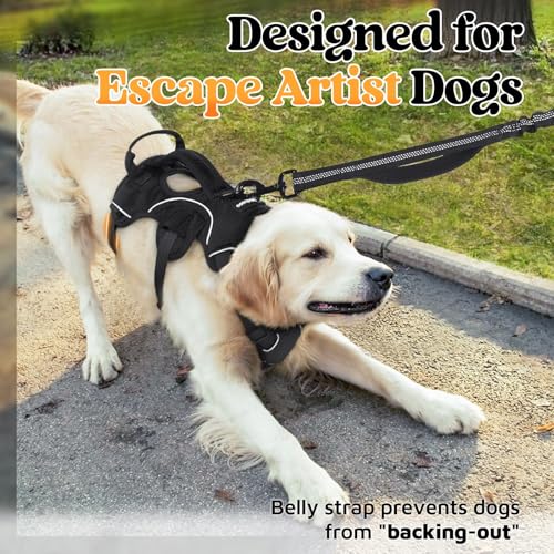 rabbitgoo Escape Proof Dog Harness, Soft Padded Full Body Pet Harness, Reflective Adjustable No Pull Vest with Lift Handle and Leash Clip for Large Dogs Walking Hiking Training, M, Black - color: Black, size: Medium (Pack of 1)