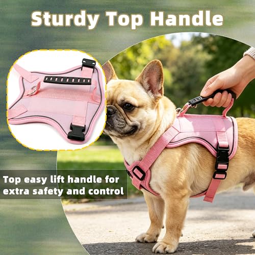 AIITLE Small Dog Harness No Pull, Reflective Adjustable Vest with Handle, No Choke Design, Dual Metal Leash Clips for Walking Training Running Camping, Small Medium Breeds - Pink S - color: Pink, size: S