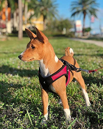 Gooby Escape Free Easy Fit Harness - Red, Small - No Pull Step-in Patented Dog Harness with Quick Release Buckle for Small to Medium Dogs - color: Red, size: Small chest (16~19.25")