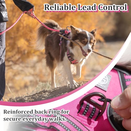 Dog Harness No Pull, 2 Leash Clips, Reflective Mesh Vest with Padded Chest, Adjustable Breathable Pet Harness for Medium Large Dogs (L, Hot Pink) - color: Hot Pink, size: L
