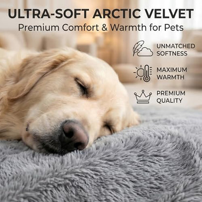 Orthopedic Medium Dog Bed 30 x 20Inch, Egg-Crate Memory Foam Pet Bed with Pillow, Comfortable Dog Couch with Removable Washable Arctic Velvet Cover, Waterproof Non-Slip Bottom Gray - size: 29.6" L x 19.7" W x 5.6" H--One side