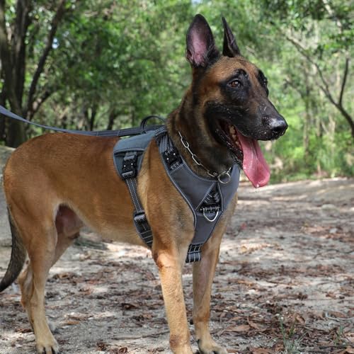 ICEFANG GN8 Tactical Dog Harness with 4X Metal Buckles for Medium Sized Dogs,Reflective in Training Walking K9 Dog Vest,No-Pull Front Leash Clip,Adjustable Pet Harness (Grey, Medium (Pack of 1)) - color: Grey, size: Medium (Pack of 1)