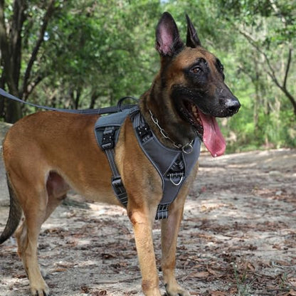 ICEFANG GN8 Tactical Dog Harness with 4X Metal Buckles for Large Sized Dogs,Reflective in Training Walking K9 Dog Vest,No-Pull Front Leash Clip,Adjustable Pet Harness (Grey, Large (Pack of 1)) - color: Grey, size: Large (Pack of 1)