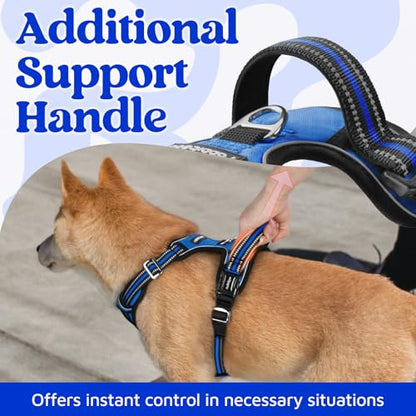 rabbitgoo Dog Harness Small Sized, No Pull Dog Vest with 3 Buckles, Adjustable Soft Padded Pet Harness with Easy Control Handle and Reflective Strips, Royal Blue, S - color: Royal Blue, size: Small