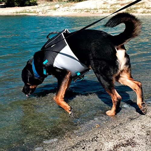ZippyPaws Adventure Dog Life Jacket - Dog Life Vest for Swimming & Boating, Fits Small Pets, Lightweight Dog Flotation Device for Water Safety, Padded Handle, Adjustable Fit, 21-27" - Medium, Teal