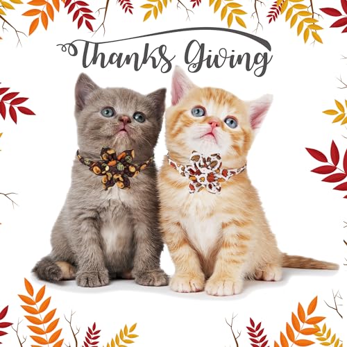 ADOGGYGO Thanksgiving Cat Collars with Removable Flower Bell, Adjustable Thanksgiving Fall Pumpkin Floral Collars for Girl Cats & Kittens - color: Thanksgiving