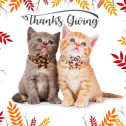 ADOGGYGO Thanksgiving Cat Collars with Removable Flower Bell, Adjustable Thanksgiving Fall Pumpkin Floral Collars for Girl Cats & Kittens - color: Thanksgiving