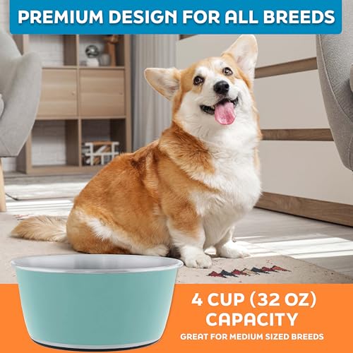 Master Pet Supply Stainless Steel Dog Bowls Set of 2 (32 Oz Each) with Non-Slip Rubber Base - Aqua Sky - Basic Dog Food Bowl Water & Food Bowls for Small Medium Large Dogs & Cats, Metal Dish - color: Aqua Sky, size: 4 Cups (32 oz) 2 Pack