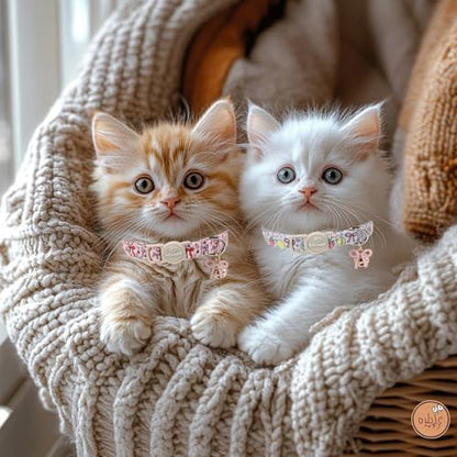 2 Pack Sweet Girly Cat Collars - Elegent Bow Breakaway Cat Collar with Bell & Matching Pendant, Adjustable Spring Summer Pink Purple Kitten Collars for Girl Cats - color: Fruit Bow