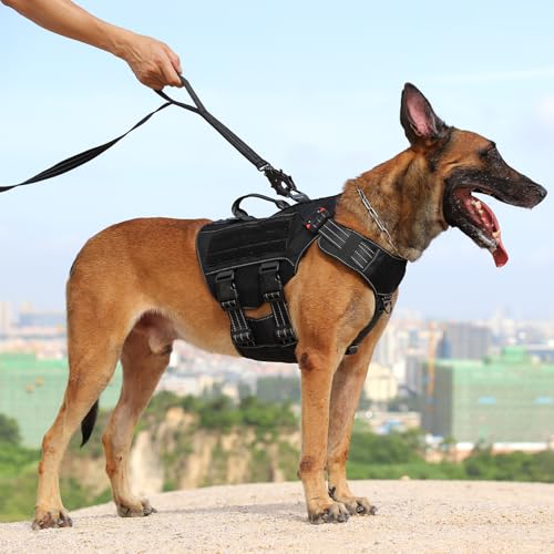 ICEFANG Relfective Dog Leash for Medium Large Dogs,K9 Training Walking Lead with Double Handle,Heavy Duty Auto-Lock Metal Clasp (6ft, Black) - color: Black, size: 6 ft (No bungee)
