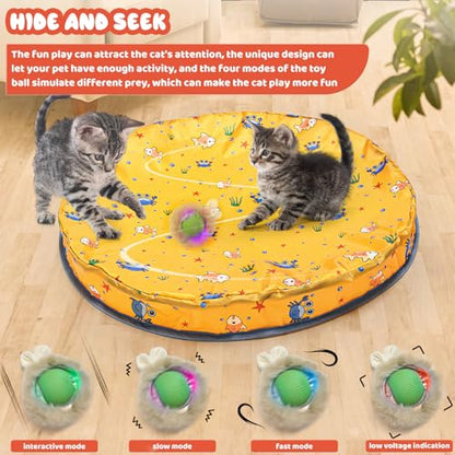 Interactive Cat Toy Ball,360° Self Rolling Cat Ball with Led Light,Rechargable Automatic Motion Activated Moving Toy with 3 Working Modes,Type-c Rechargeable