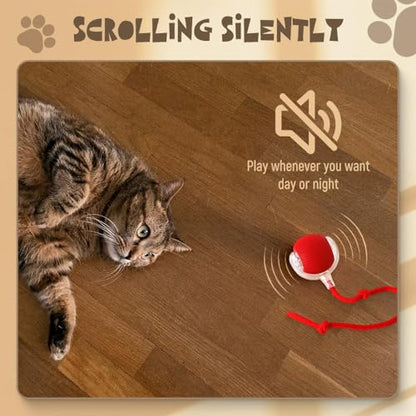 Interactive 2025 Upgraded Version Dog & Cat Toy, Intelligent Automatic Rolling Ball (Green) - color: Green