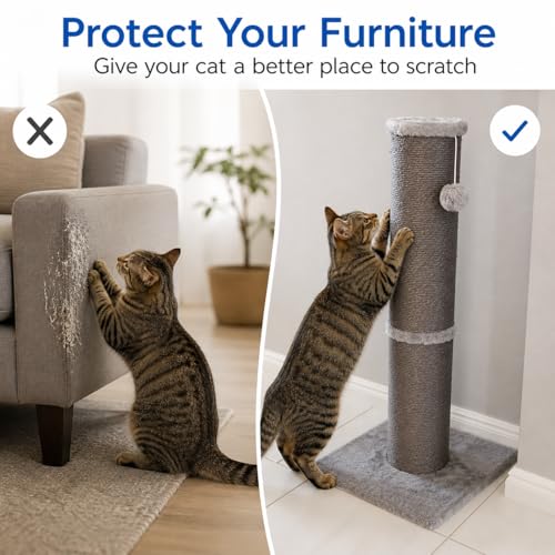 Sisal Cat Scratching Post for Indoor Cats & Kittens, 5.5" Diameter Heavy Duty Vertical Scratcher, 32 Inch Extra Tall Furniture Protector with Stable Base, Grey - color: Cylinder Grey