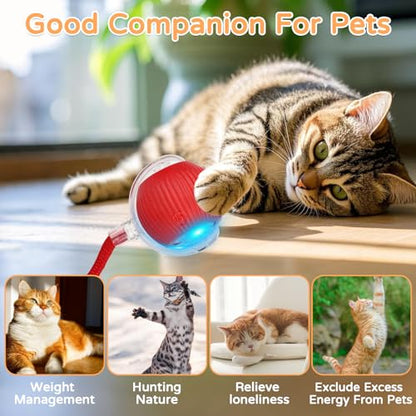 Goosheep 2025 New 3Pack Cat Ball Kitten Toys for Indoor Interactive Kitty Ball Toy Speedy Tail 360° Automatic Rolling(Red Grey Green) - size: 3 Pack