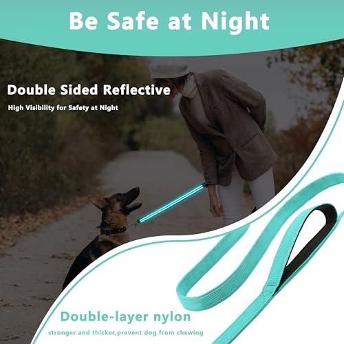 Dog Leash, 4ft Long, Double Handle, Reflective, Turquoise, for Small, Medium, Large Dogs - color: Turquoise, size: 4ft