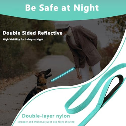 Dog Leash, 4ft Long, Double Handle, Reflective, Turquoise, for Small, Medium, Large Dogs - color: Turquoise, size: 4ft