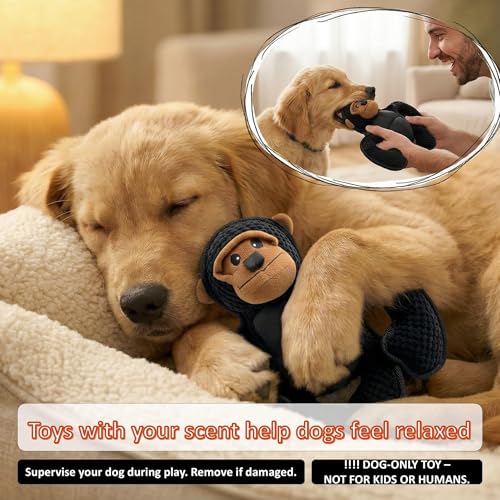 Plush Stuffed Squeaky Dog Toys, Tough Dog Toy Large Breed, Dog Chew Toys for Large Dogs,Chew Dog Toys to Keep Them Busy,11" x 11" Gorilla