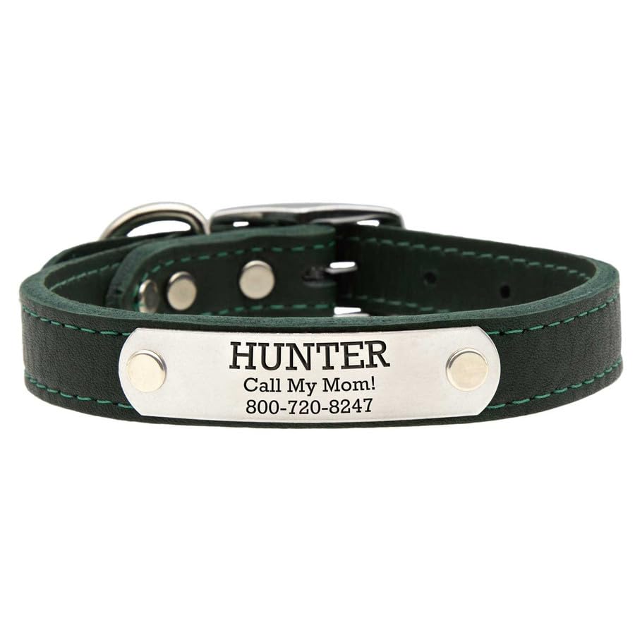 dogIDs Personalized Soft Designer Leather Dog Collar - Adjustable, Odor Resistant, Built-in Custom Laser Engraved Rivet on Name Plate - Pine Green - 1/2 in Wide x 7 in Neck - color: Pine Green, size: 1/2 in wide x 9 in (its 6-8 inch necks)