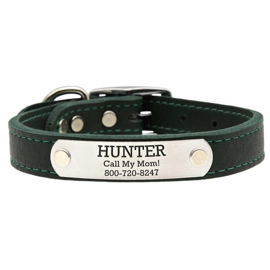 dogIDs Personalized Soft Designer Leather Dog Collar - Adjustable, Odor Resistant, Built-in Custom Laser Engraved Rivet on Name Plate - Pine Green - 1/2 in Wide x 9 in Neck - color: Pine Green, size: 1/2 in wide x 11 in (its 8-10 inch necks)