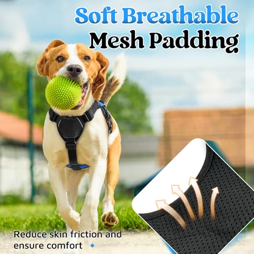 rabbitgoo Escape Proof Dog Harness, Soft Padded Full Body Pet Harness, Reflective Adjustable No Pull Vest with Lift Handle and Leash Clip for Large Dogs Walking Hiking Training, S, Blue - color: Blue, size: Small (Pack of 1)