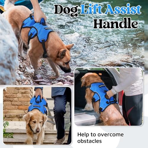 rabbitgoo Escape Proof Dog Harness, Soft Padded Full Body Pet Harness, Reflective Adjustable No Pull Vest with Lift Handle and Leash Clip for Large Dogs Walking Hiking Training, M, Blue - color: Blue, size: Medium (Pack of 1)