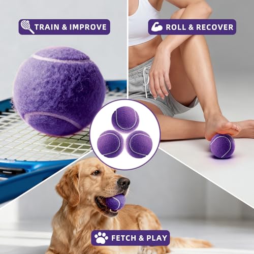PoyPet 16-Pack Tennis Balls Bulk for Practice,Training and Beginners | Ideal for Dog Fetch,Chew and Play - color: Purple