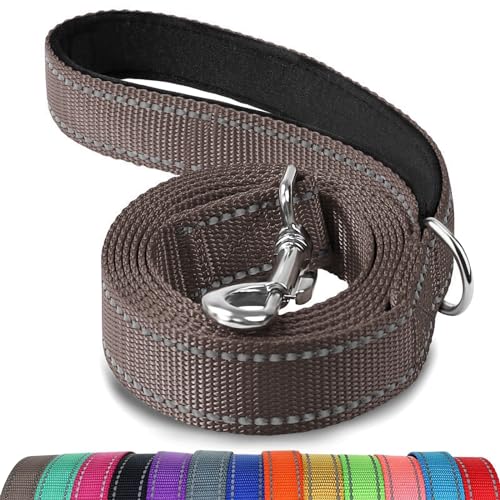 Joytale Double-Sided Reflective Dog Leash, 4 FT, Padded Handle Nylon Heavy Duty Leashes for Small & Medium Dogs Walking, Brown - color: Brown, size: 4 ft Narrow